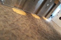 PHOTO-2019-03-06-09-43-25-rotated